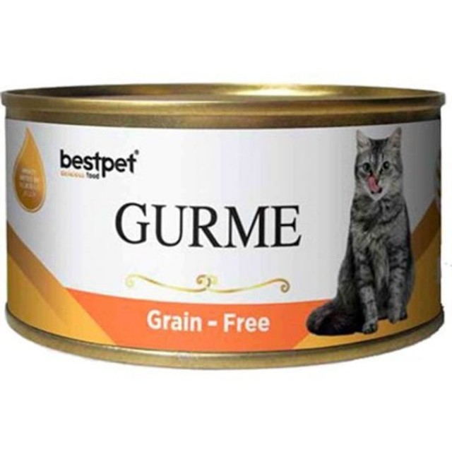 Bestpet Gurme Jöleli Somonlu Yetişkin Konserve Kedi Maması 1 Adet 100 Gr
