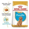 Royal Canin Poodle Junior Yavru Köpek Maması 3 Kg
