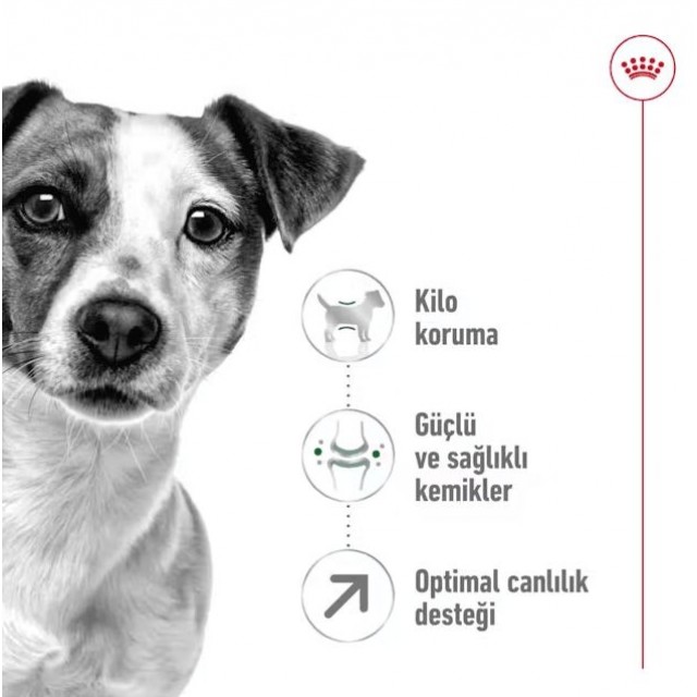 Royal Canin Mini Adult 8+ Küçük Irk Yaşlı Köpek Maması 2 Kg