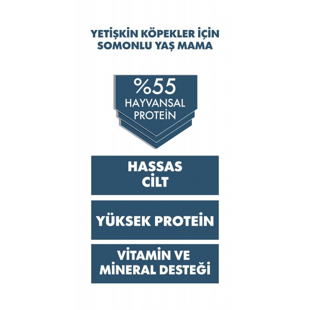 Pro Performance Ultra Premium Somonlu Yetişkin Konserve Köpek Maması 1 Adet 400 Gr