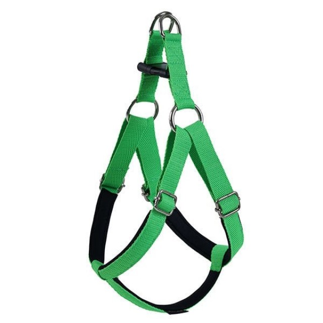 Actirex Neon Köpek Göğüs Tasması Yeşil Xsmall 1.5x35-40 Cm Actirex Neon Köpek Göğüs Tasması Yeşil Xsmall 1.5x35-40 Cm
