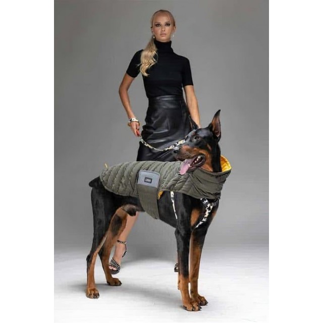 Lindo Dogs Air Puff Mango Köpek Montu Kahverengi Beden 4