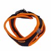 Doggie Havalı Dokuma Neon Küçük Irk Köpek Göğüs Tasması Small Turuncu 32-38 Cm