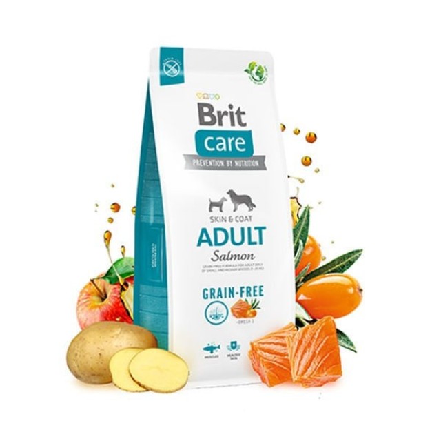 Brit Care Tahılsız Skin & Coat Somonlu Yetişkin Köpek Maması 3 Kg