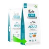 Brit Care Tahılsız Skin & Coat Somonlu Yetişkin Köpek Maması 12 Kg