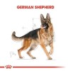 Royal Canin German Shepherd Adult Yetişkin Köpek Maması 11 Kg