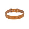 Cattie Gerçek Deriden Taşlı Kedi Boyun Tasması Xlarge Camel 1.5x26-31 Cm Cattie Gerçek Deriden Taşlı Kedi Boyun Tasması Xlarge Camel 1.5x26-31 Cm