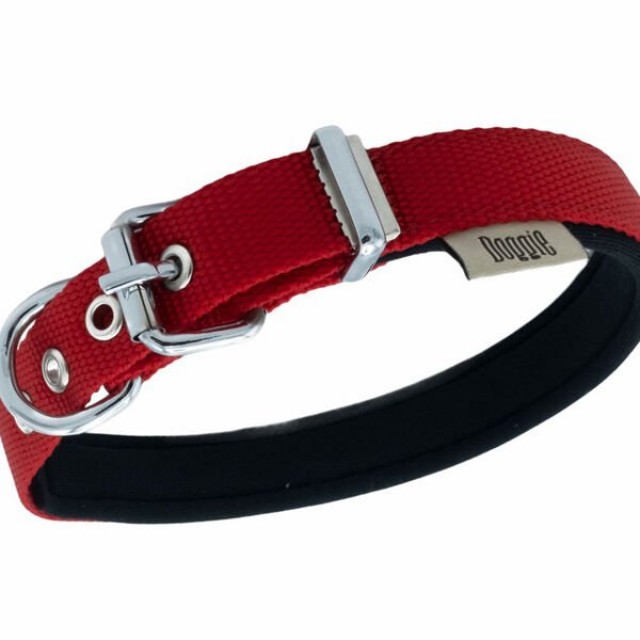 Doggie Comfort Dokuma Köpek Boyun Tasması Small Kırmızı 2x20-35 Cm