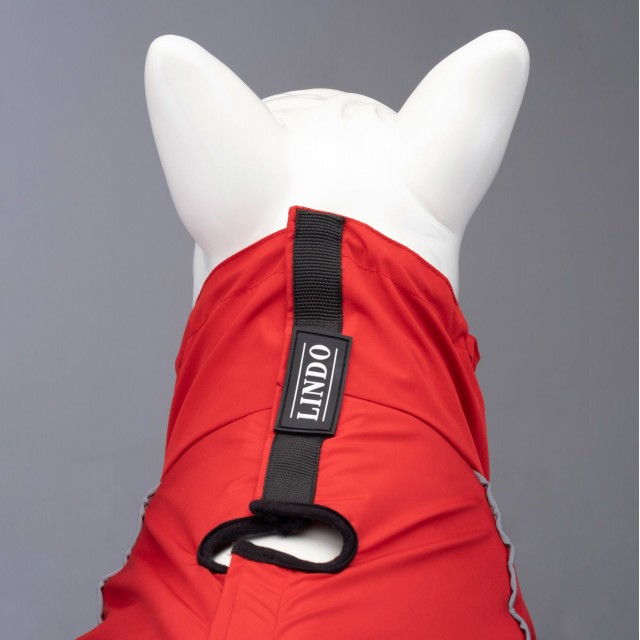 Lindo Dogs Quattro Nova Köpek Yağmurluğu Kırmızı Beden 4