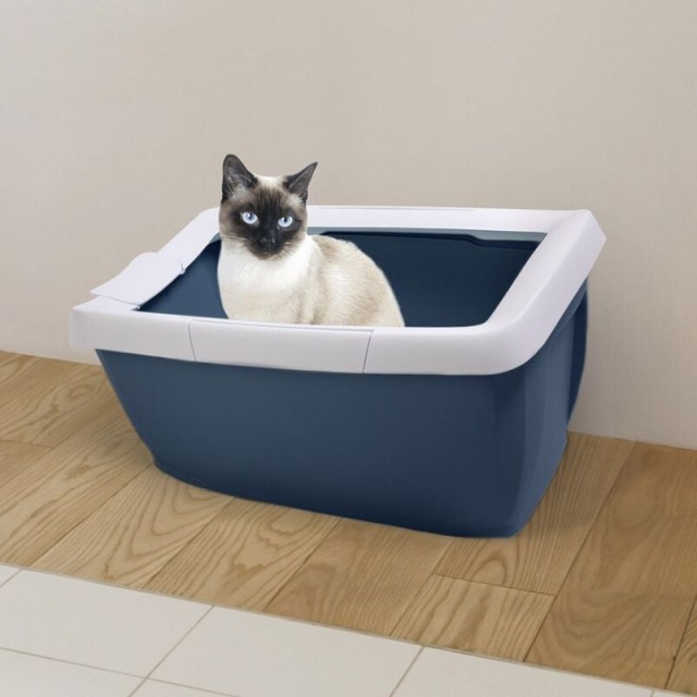 İmac Funny Açık Kedi Tuvaleti Petrol Mavisi 65x47.5x33 Cm