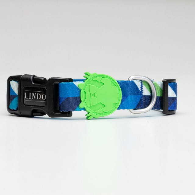 Lindo Dogs Blue Dream Köpek Boyun Tasması Mavi Medium