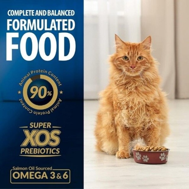 Reflex Plus Adult Somonlu Yetişkin Kedi Maması 15 Kg