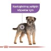 Royal Canin Sterilised Pouch Konserve Köpek Maması 1 Adet 85 Gr