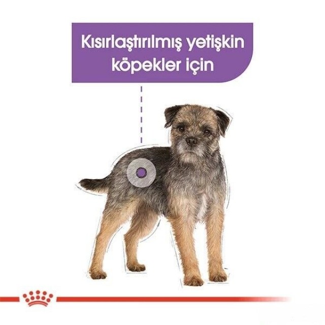 Royal Canin Sterilised Pouch Konserve Köpek Maması 1 Adet 85 Gr