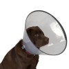 Dermo-Vet Köpek Elizabet Yakalığı 10 Cm Dermo-Vet Köpek Elizabet Yakalığı 10 Cm