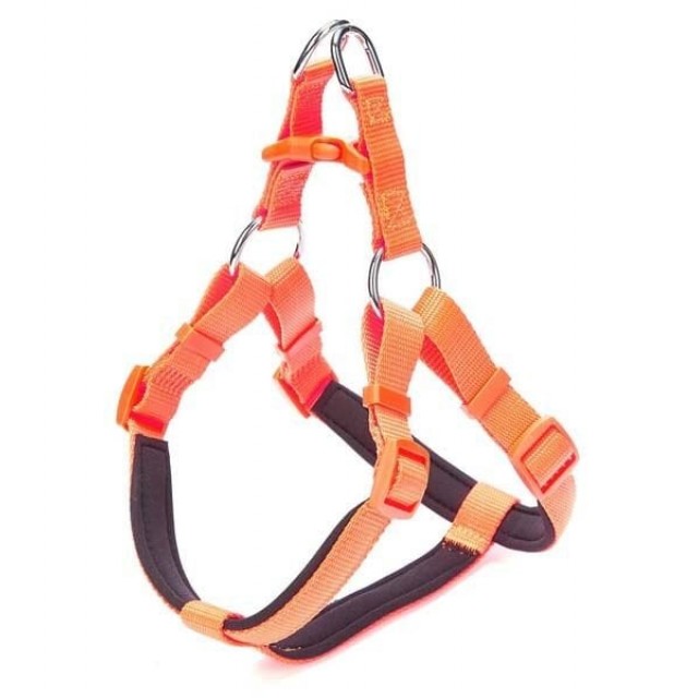 Doggie Comfort Dokuma Ronin Köpek Göğüs Tasması Large Turuncu 2x55-65 Cm Doggie Comfort Dokuma Ronin Köpek Göğüs Tasması Large Turuncu 2x55-65 Cm