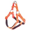 Doggie Comfort Dokuma Ronin Köpek Göğüs Tasması Large Turuncu 2x55-65 Cm Doggie Comfort Dokuma Ronin Köpek Göğüs Tasması Large Turuncu 2x55-65 Cm