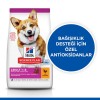 Hills Small & Mini Adult Tavuklu Köpek Maması 6 Kg