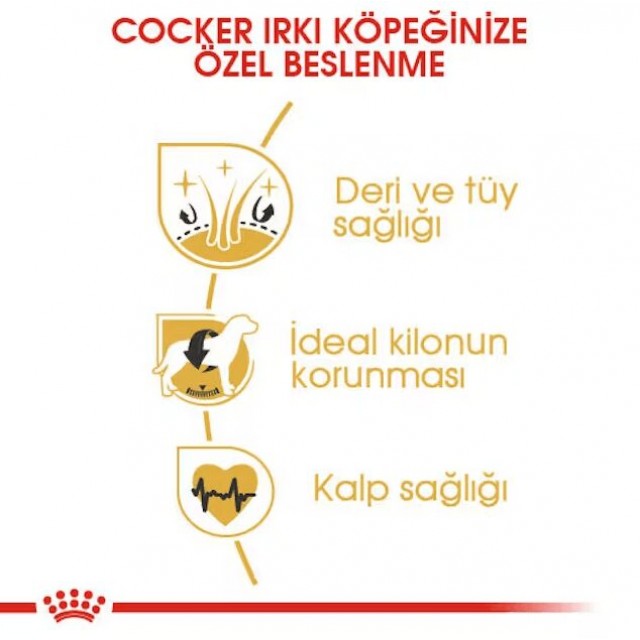 Royal Canin Cocker Adult Yetişkin Köpek Maması 3 Kg