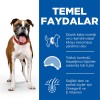 Hills Adult Light Medium Tavuklu Yetişkin Köpek Maması 2.5 Kg