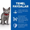 Hills Sterilised Kitten Tavuklu Kısırlaştırılmış Yavru Kedi Maması 1.5 Kg