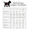 Red Dingo Stars Hot Kırmızı Beyaz Yıldızlı Köpek Göğüs Tasması 25 Mm