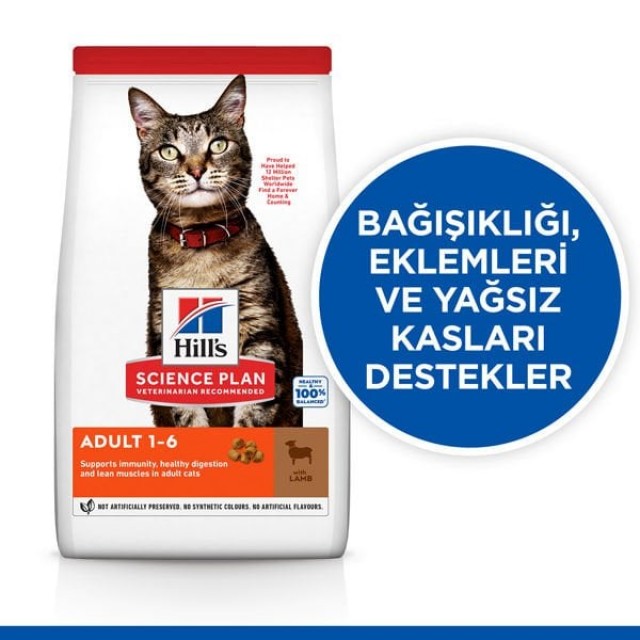 Hills Adult Kuzu Etli Yetişkin Kedi Maması 8+2 Kg