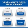 Hills Young Sterilised Tavuklu Kısırlaştırılmış Kedi Maması 8+2 Kg