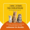 PetzzCats Tavuk Etli Konserve Kedi Maması 1 Adet 70 Gr