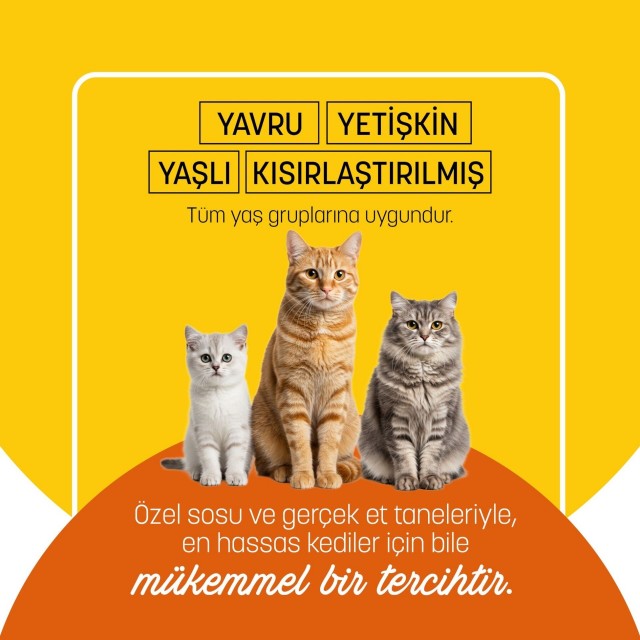 PetzzCats Tavuk Etli Konserve Kedi Maması 1 Adet 70 Gr