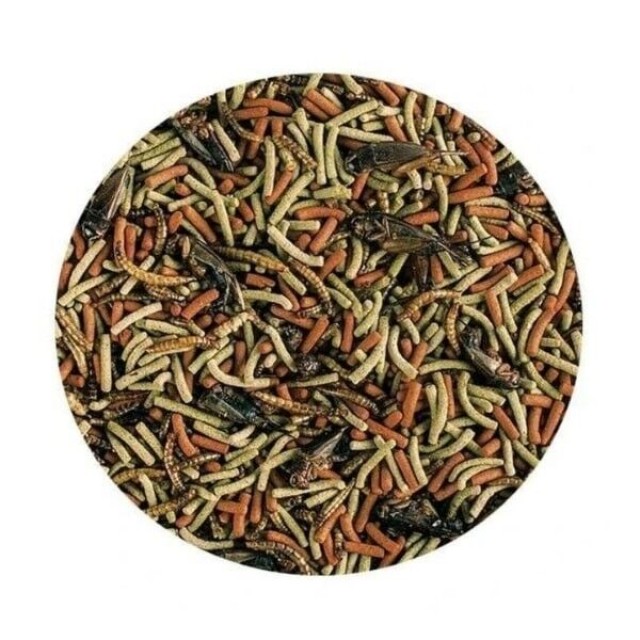 Tropical Reptiles Carnivore Soft Etobur ve Omnivor Sürüngenler için Yem 1000 Ml 260 Gr