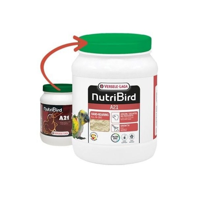 Versele Laga Nutribird A21 Yavru Papağan Elle Yetiştirme Maması 3 Kg