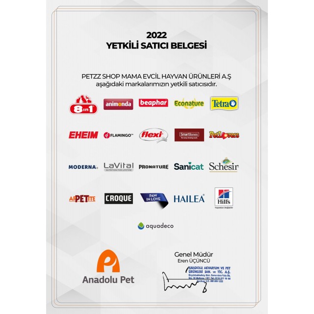 Kong Delikli Top Şeklinde Çok Amaçlı Köpek Oyuncağı Medium/Large