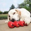 Kong Goodie Ribbon Çoklu Top Şeklinde Köpek Oyuncağı Small Kırmızı Kong Goodie Ribbon Çoklu Top Şeklinde Köpek Oyuncağı Small Kırmızı