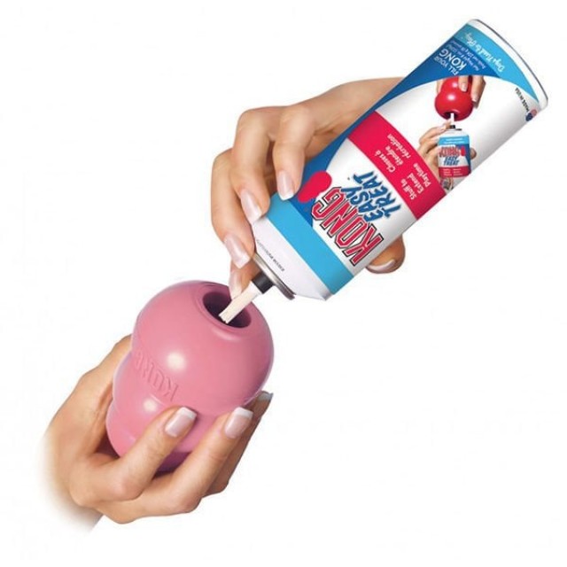 Kong Puppy Yavru Köpek Oyuncağı Large 10 Cm