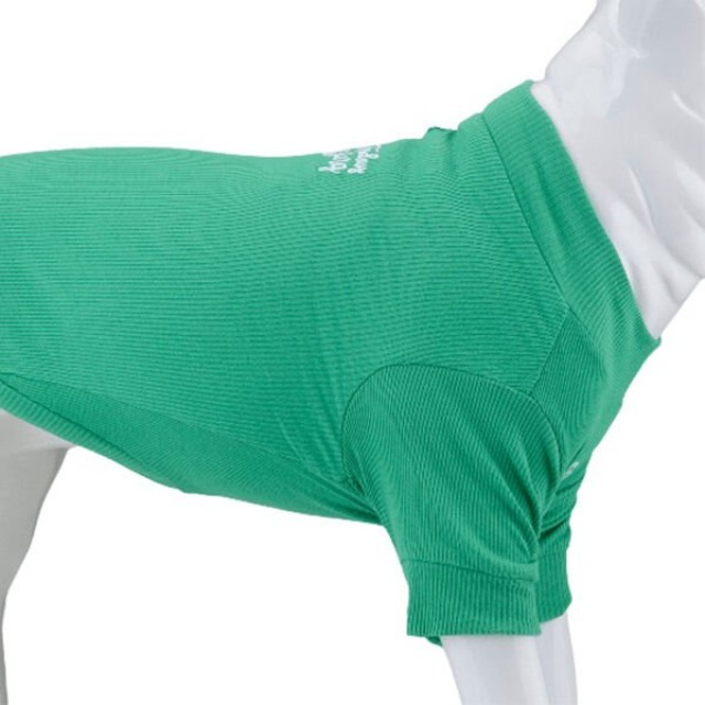 Lindo Dogs Make Today Amazing Köpek Kıyafeti Tshirt Yeşil Beden 6