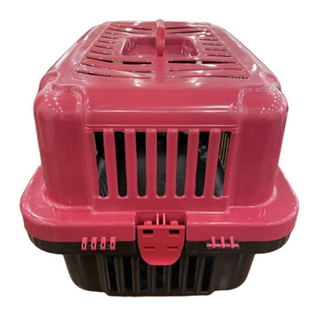 Petzz Dayanıklı Küçük Irk Köpek & Kedi Taşıma Çantası Kırmızı 33x50x30 Cm