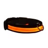 Petzz Işıklı Ayarlanabilir Flaşörlü Kedi ve Köpek Boyun Tasması Kırmızı 35-43 Cm / 2.5 Cm Petzz Işıklı Ayarlanabilir Flaşörlü Kedi ve Köpek Boyun Tasması Kırmızı 35-43 Cm / 2.5 Cm