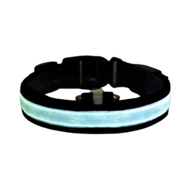 Petzz Işıklı Ayarlanabilir Flaşörlü Kedi ve Köpek Boyun Tasması Mavi 35-43 Cm / 2.5 Cm Petzz Işıklı Ayarlanabilir Flaşörlü Kedi ve Köpek Boyun Tasması Mavi 35-43 Cm / 2.5 Cm