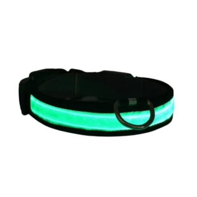 Petzz Işıklı Ayarlanabilir Flaşörlü Kedi ve Köpek Boyun Tasması Yeşil 45-52 Cm / 2.5 Cm Petzz Işıklı Ayarlanabilir Flaşörlü Kedi ve Köpek Boyun Tasması Yeşil 45-52 Cm / 2.5 Cm