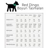 Red Dingo Bedrock Desenli Köpek Boyun Tasması Turuncu 15 Mm