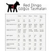 Red Dingo Circadelic Desenli Köpek Göğüs Tasması Mavi 25 Mm