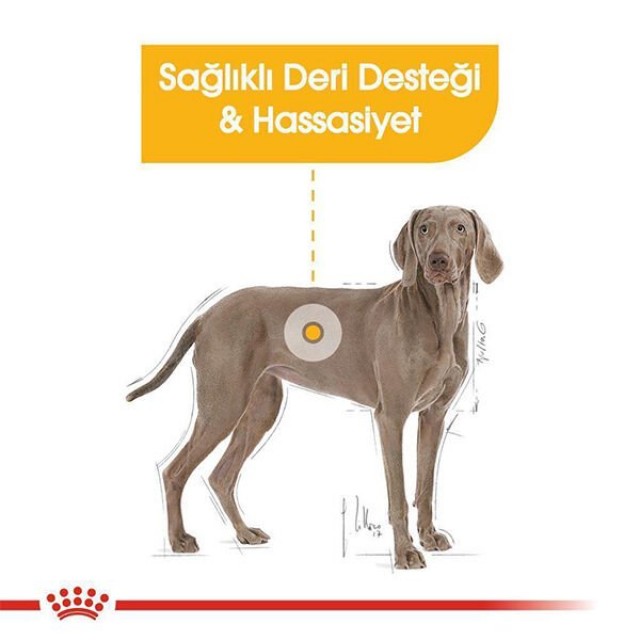 Royal Canin Adult Maxi Dermacomfort Yetişkin Köpek Maması 12 Kg