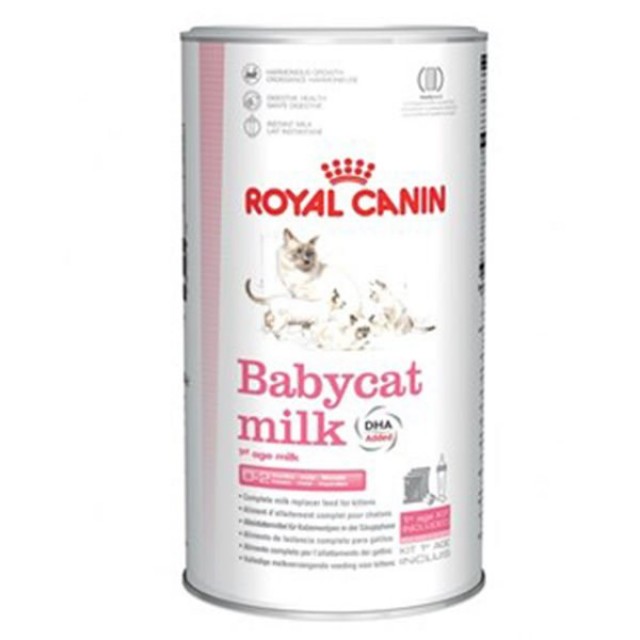 Royal Canin Babycat Milk Yavru Kedi Süt Tozu 300 Gr Royal Canin Babycat Milk Yavru Kedi Süt Tozu 300 Gr