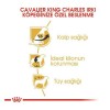 Royal Canin Cavalier King Charles Yetişkin Köpek Maması 1.5 Kg