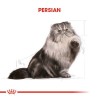 Royal Canin Persian Adult Yetişkin İran Kedisi Maması 2 Kg