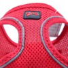 Tailpetz Air Mesh Harness Köpek Göğüs Tasması Xlarge Kırmızı 42-54x54-60 Cm