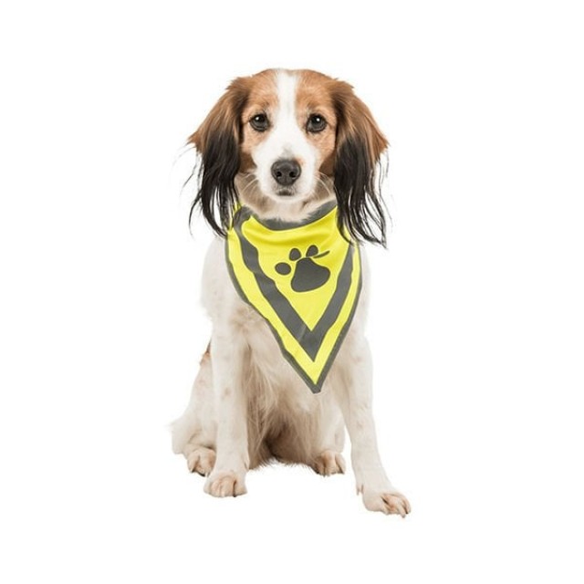 Trixie Köpek Bandanalı Tasma Small 22-28 Cm Trixie Köpek Bandanalı Tasma Small 22-28 Cm