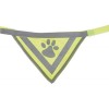 Trixie Köpek Bandanalı Tasma Small 22-28 Cm Trixie Köpek Bandanalı Tasma Small 22-28 Cm