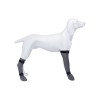 Trixie Köpek Çorabı Su Geçirmez Gri 12x45 Cm Trixie Köpek Çorabı Su Geçirmez Gri 12x45 Cm